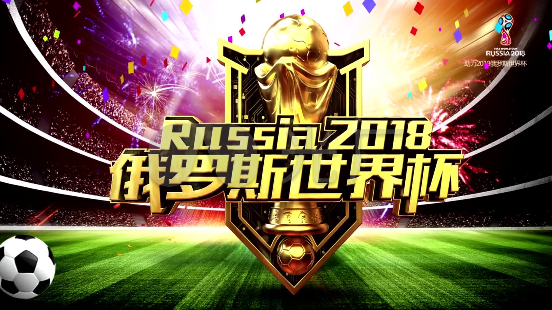 作为国际羽